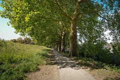 Foto 34.jpg